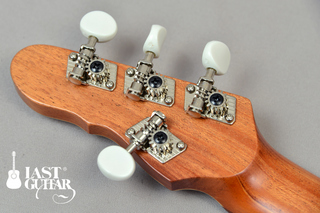 Blue-Strings-CE-Spalted-Maple-(4).jpg
