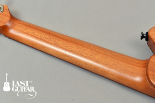 Blue-Strings-CE-Spalted-Maple-(5).jpg