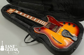 Blues Guitar Original Small Body (10).jpg