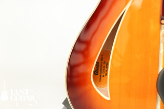 Blues Guitar Original Small Body (9).jpg