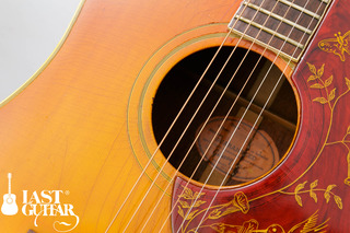 Gibson Humming Bird 1964 (10).jpg