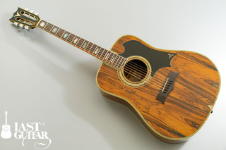 K.Yairi YW800G.jpg