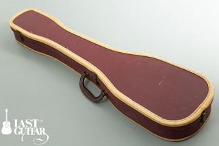 Kalamazoo LAP STEEL (10).jpg