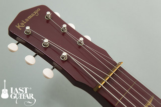 Kalamazoo LAP STEEL (3).jpg