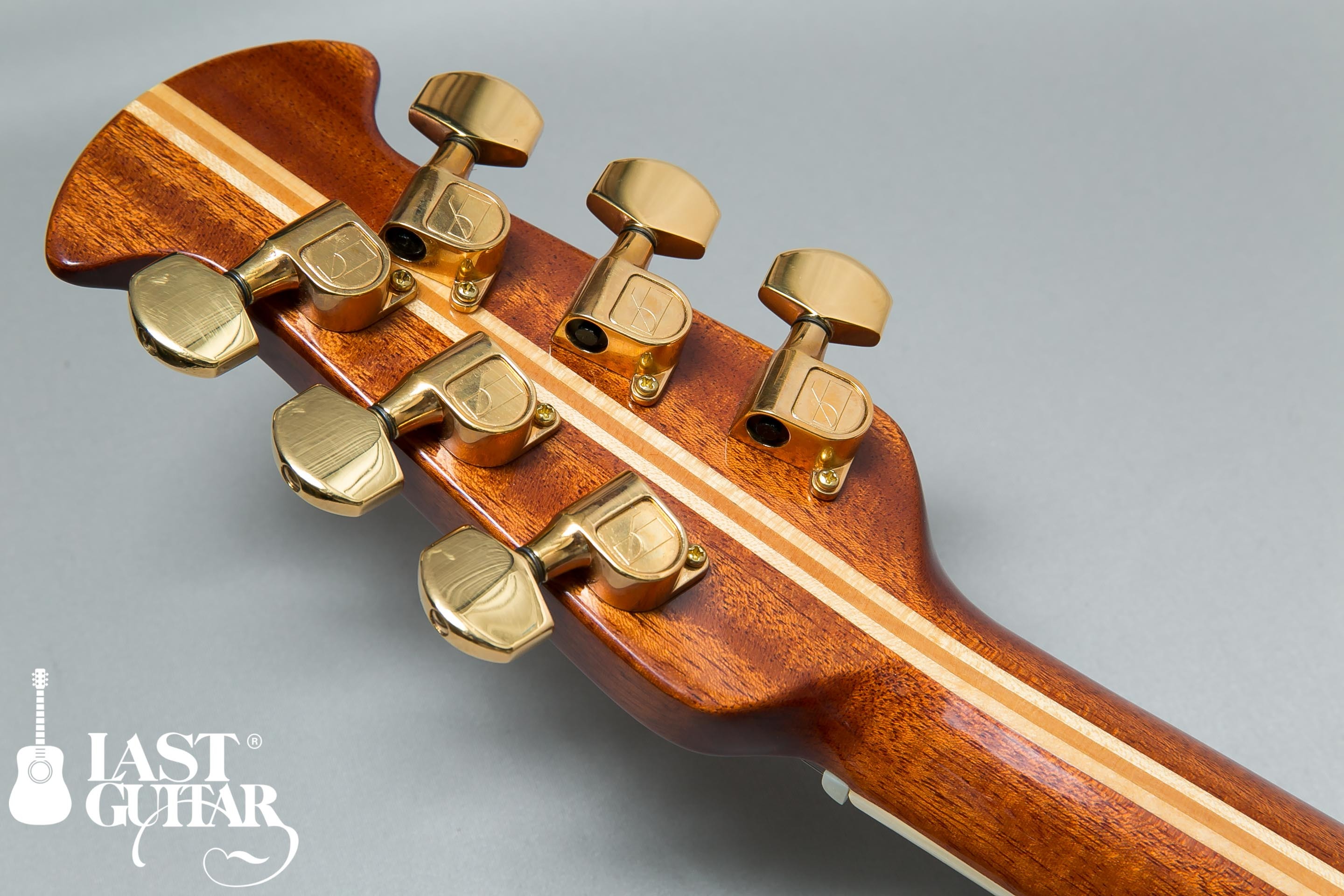 Ovation Patriot 1976年製 アメリカ建国200周年記念モデル, 奇跡の入荷