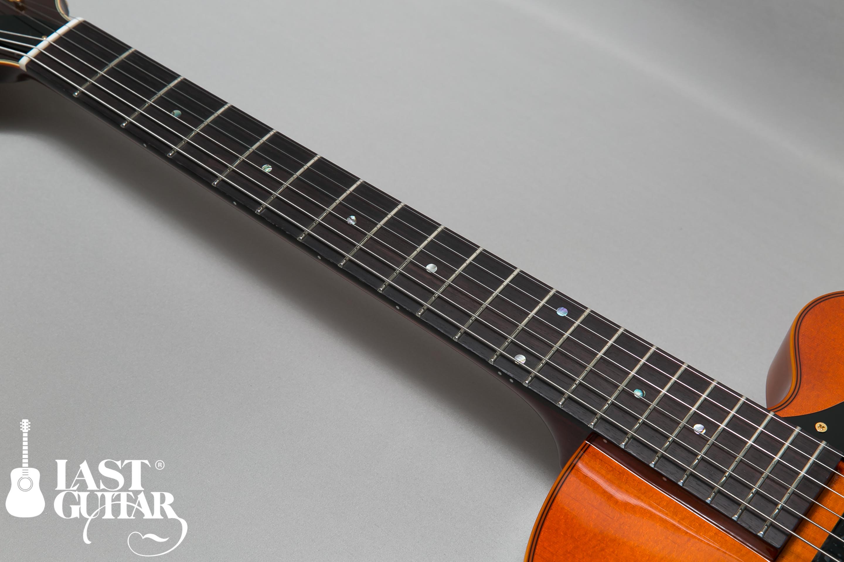 Rozeo Ladybug TBC シリーズの入荷！: LAST GUITARのブログ