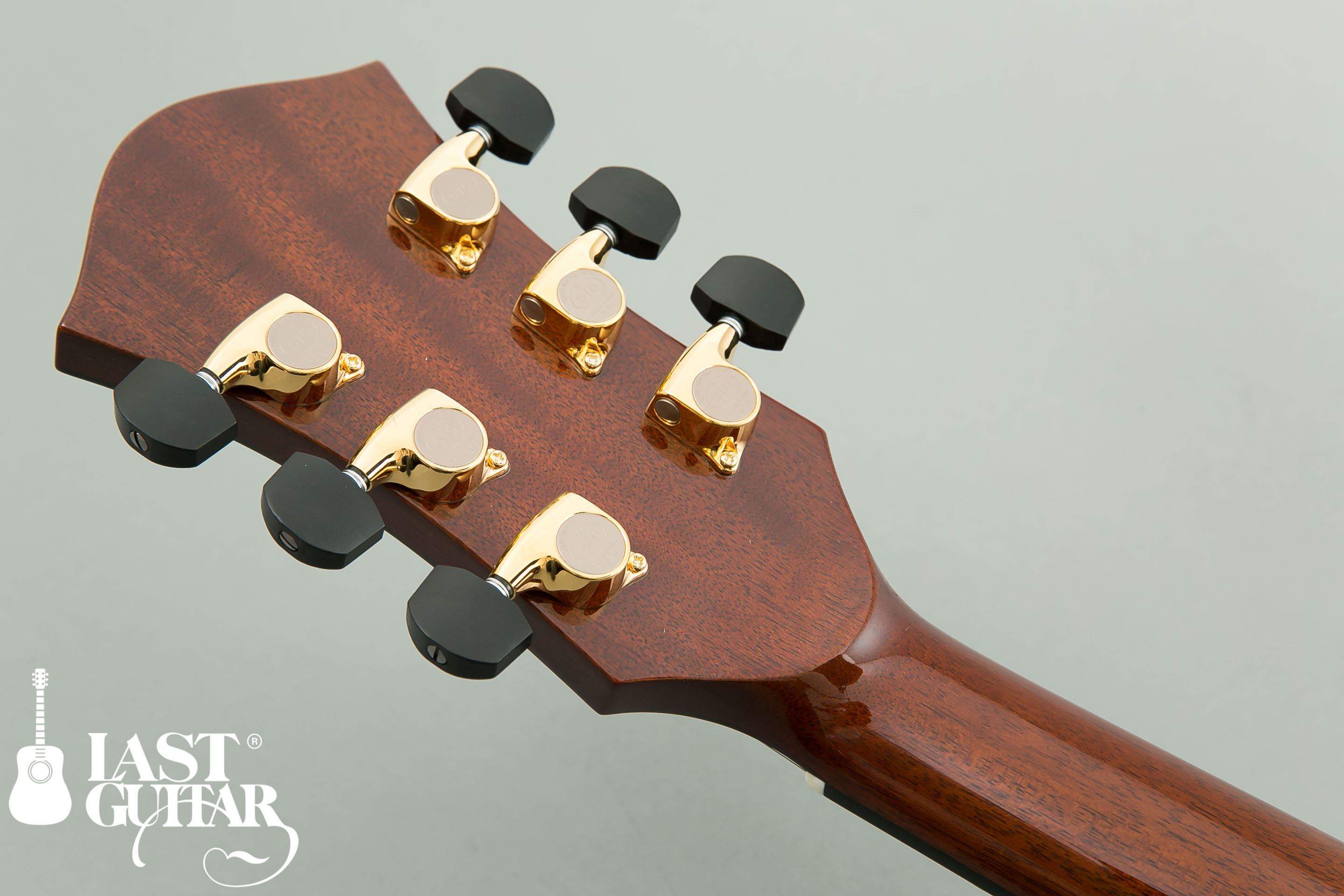 Rozeo Ladybug LTD#20: LAST GUITARのブログ