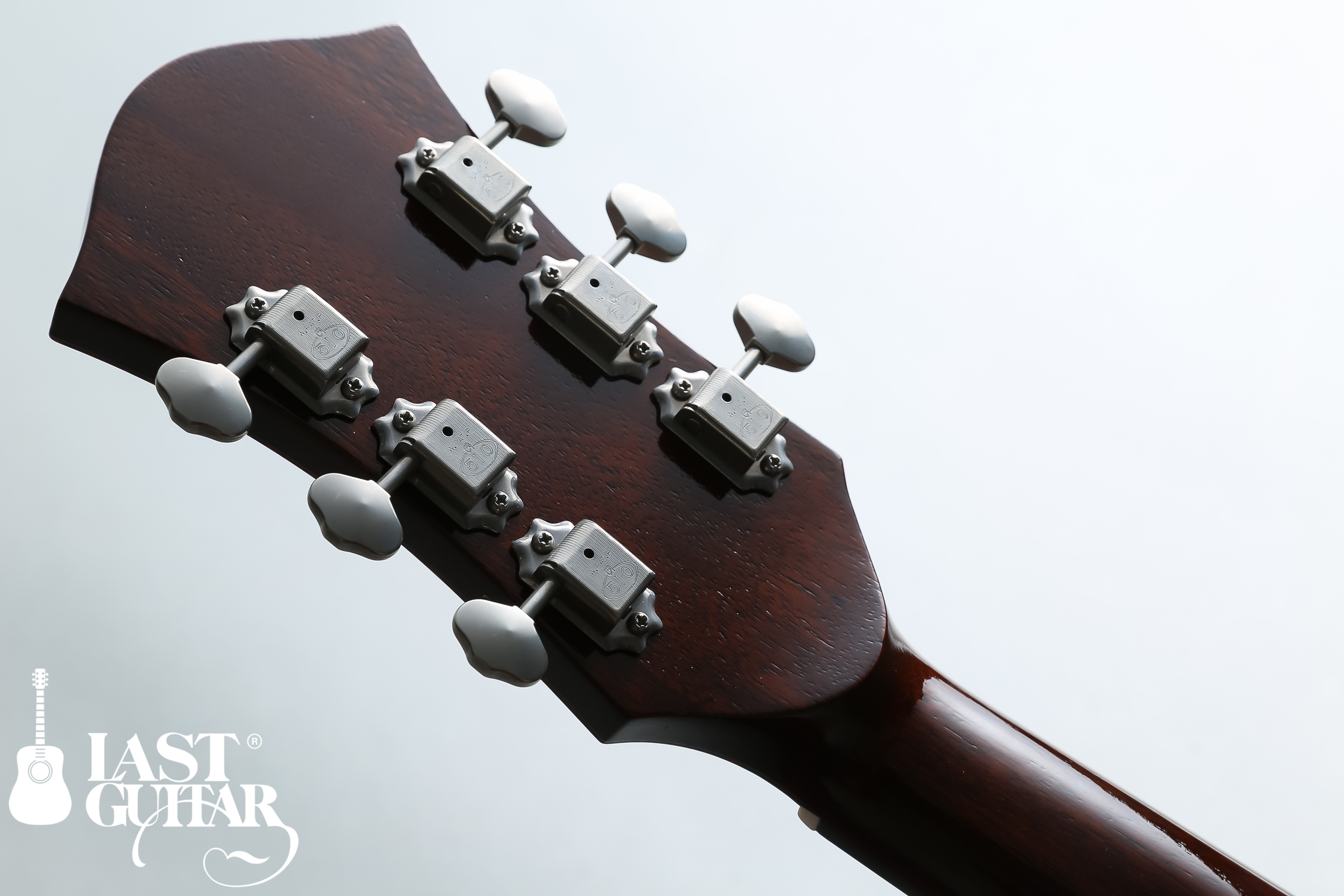 ROZEO Ladybug-P Mahogany とROZEO Ladybug-P SM/VNT 2016年ロゼオ新作