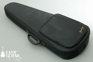 Squire ST リボーン (9).jpg