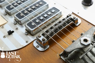 Teisco Reborn (1).jpg