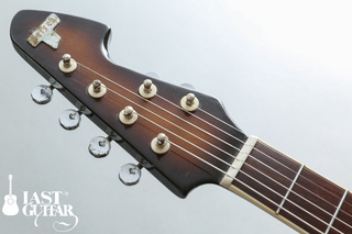 Teisco Reborn (3).jpg