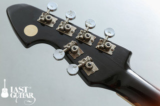 Teisco Reborn (4).jpg