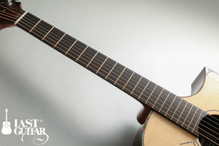 Voyagaer Guitars VA (2).jpg