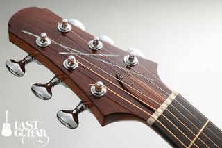 Voyagaer Guitars VA (3).jpg