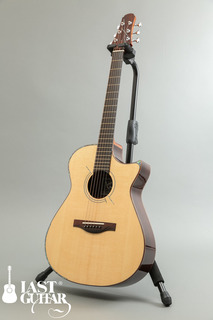 Voyagaer Guitars VA (9).jpg