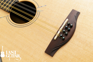 Voyager Guitars Irish Bouzouki--01.jpg