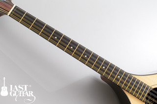 Voyager Guitars Irish Bouzouki--02.jpg