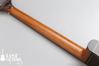 Voyager Guitars Irish Bouzouki--05.jpg