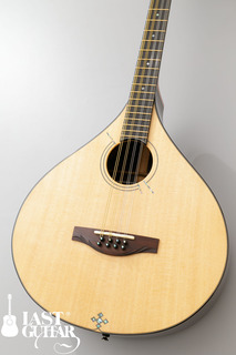 Voyager Guitars Irish Bouzouki--09.jpg