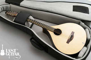 Voyager Guitars Irish Bouzouki--11.jpg