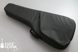 Voyager Guitars Irish Bouzouki--12.jpg