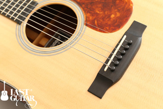 Voyager Guitars TD (1).jpg