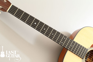 Voyager Guitars TD (2).jpg