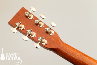 Voyager Guitars TD (4).jpg
