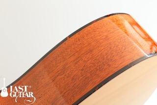 Voyager Guitars TD (8).jpg