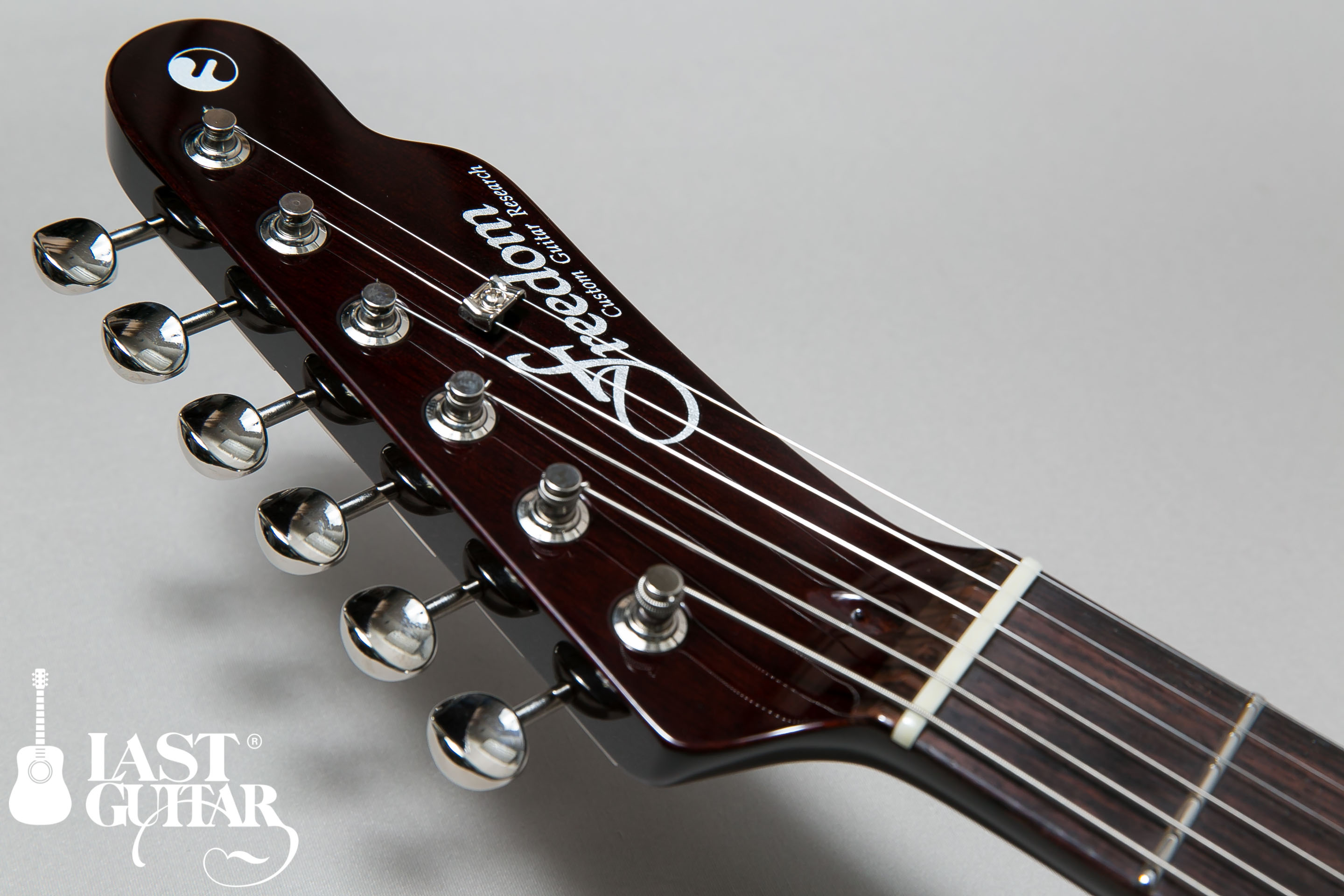 Freedom Custom Guitar Research Black Pepper 2TS S/N14012053P